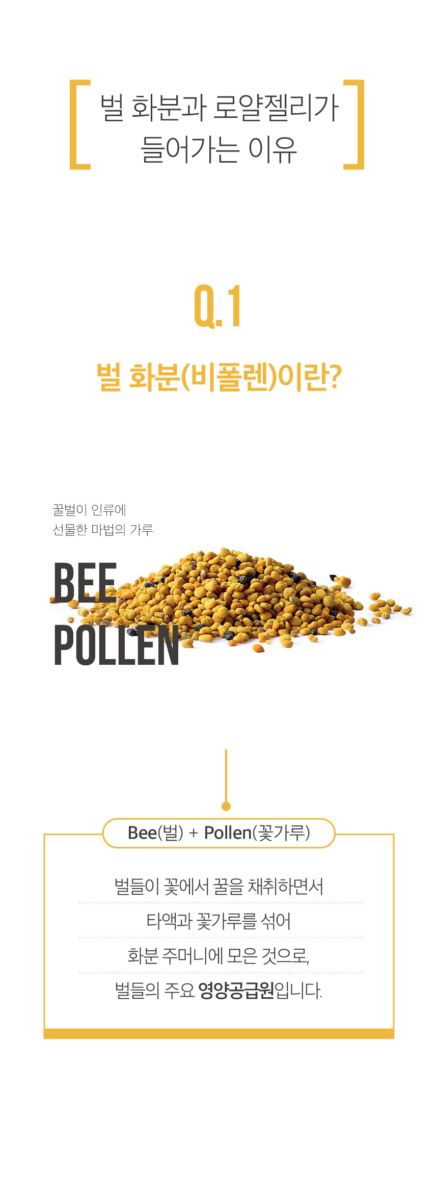 포인트01_벌화분