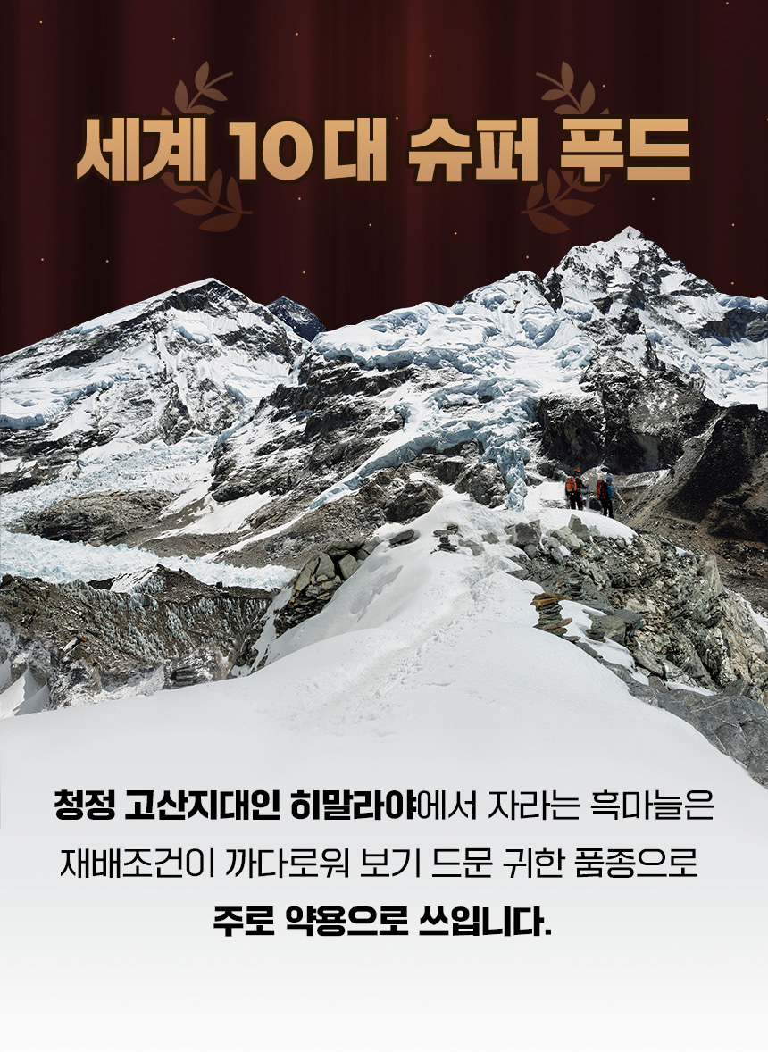통흑마늘