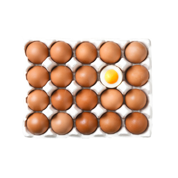 [프레쉬홈] 고단백, 반숙 계란
