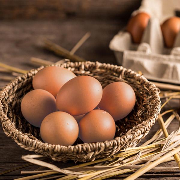 [닭대리] 구운 계란