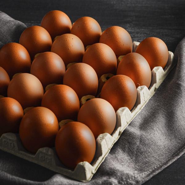 [닭대리] 구운 계란 & 훈제 계란
