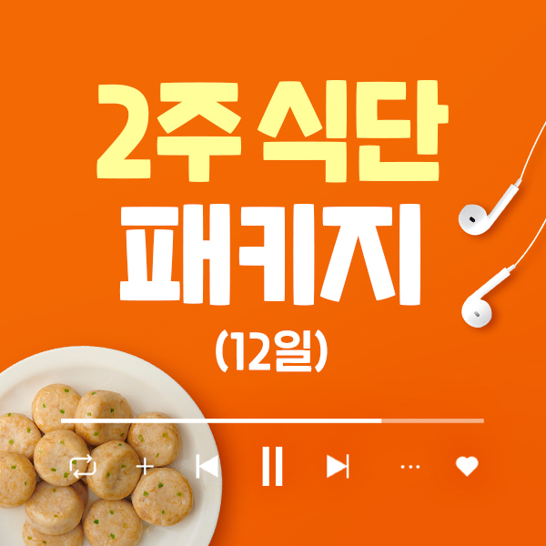 [12일] 2주 식단 패키지 (24팩)
