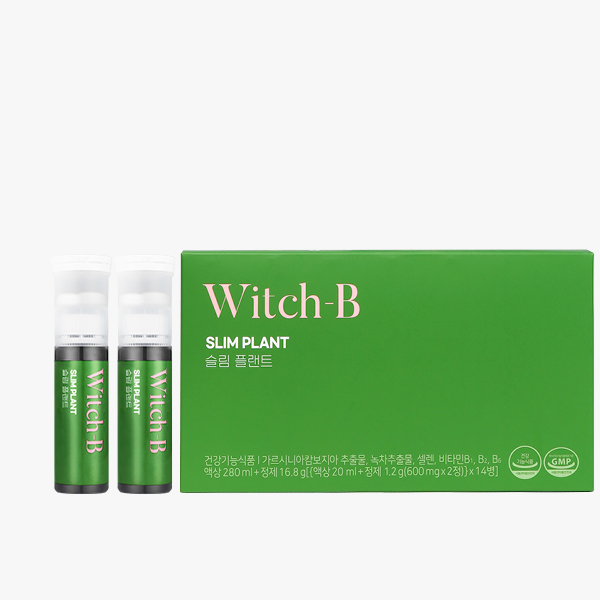 ★단독특가★ [WITCH-B] 위치비 슬림 플랜트 최대 64%할인