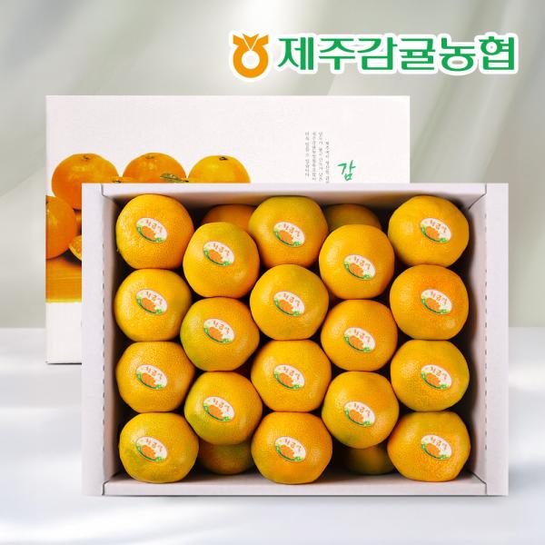 [인정식탁] 제주농협 하우스감귤 선물세트 1.5~3kg  (로얄과)