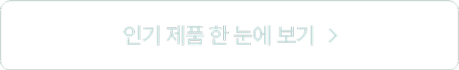인기 제품 한 눈에 보기