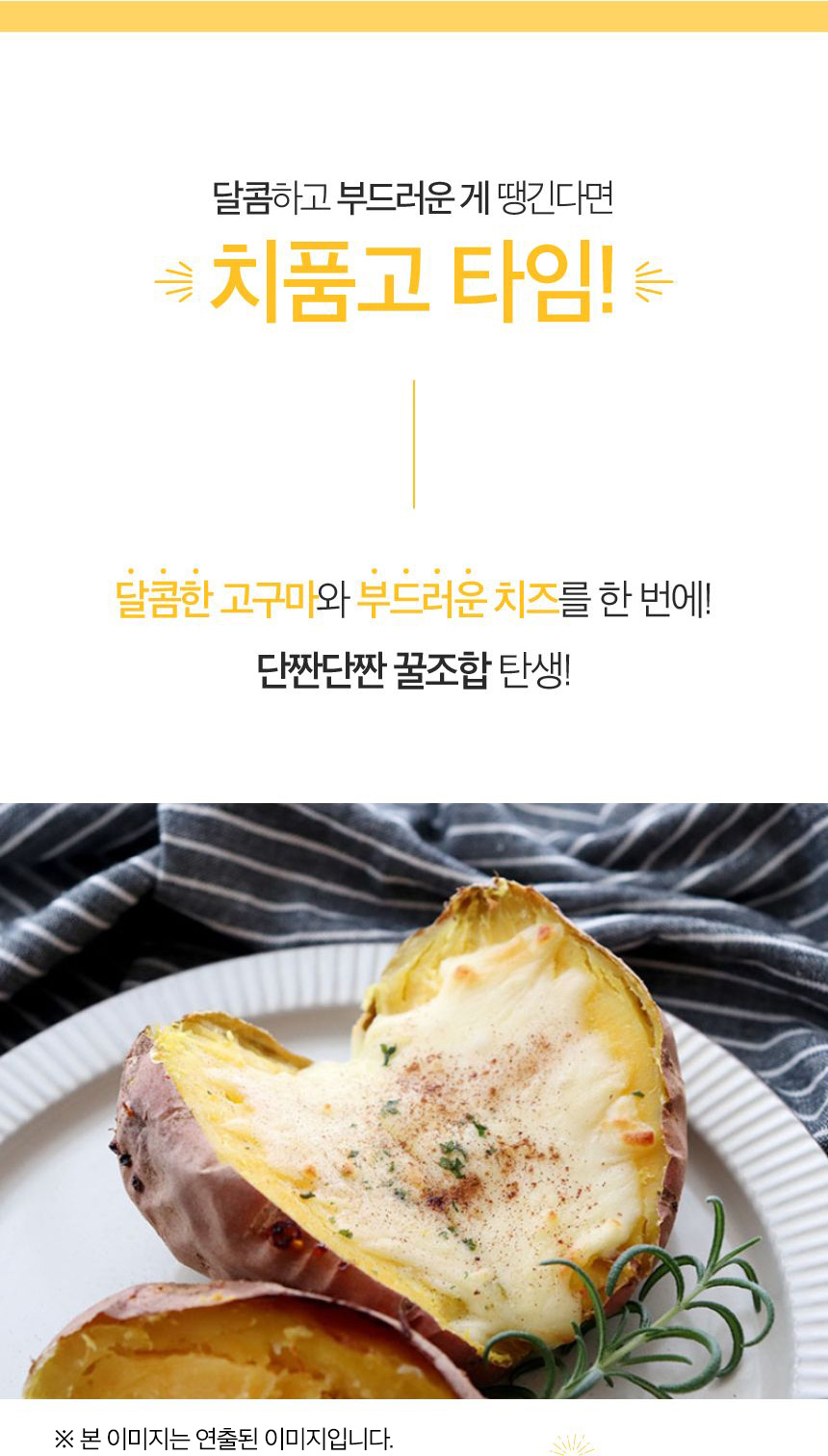 치품고타임