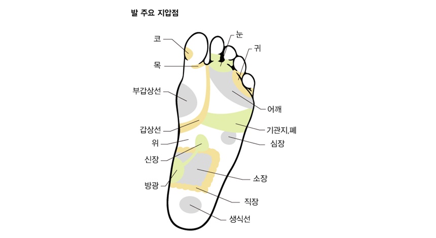 상세