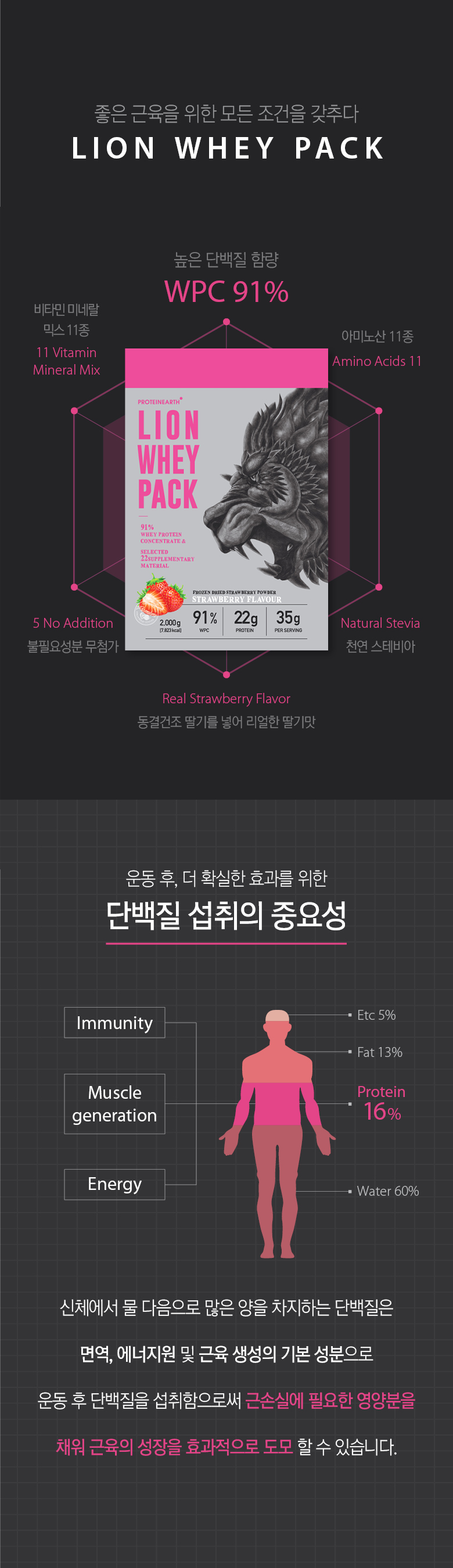 단백질