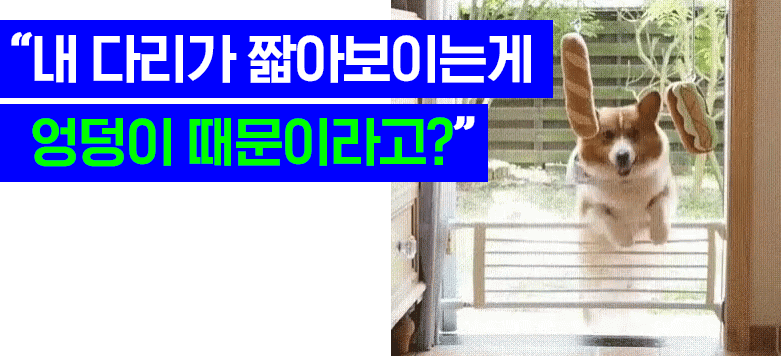 상세04